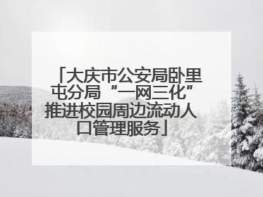 大庆市公安局卧里屯分局“一网三化”推进校园周边流动人口管理服务