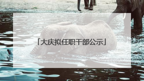 大庆拟任职干部公示