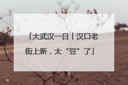 大武汉一日︱汉口老街上新，太“豆”了