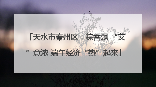 天水市秦州区：粽香飘 “艾”意浓 端午经济“热”起来