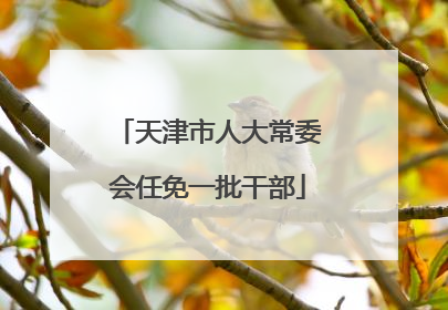 天津市人大常委会任免一批干部