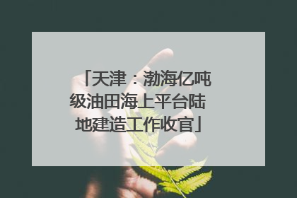 天津：渤海亿吨级油田海上平台陆地建造工作收官
