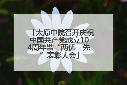 太原中院召开庆祝中国共产党成立104周年暨“两优一先”表彰大会