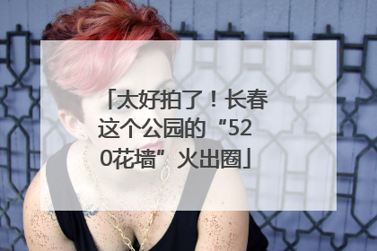 太好拍了！长春这个公园的“520花墙”火出圈