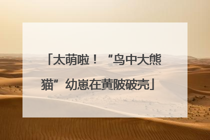 太萌啦！“鸟中大熊猫”幼崽在黄陂破壳