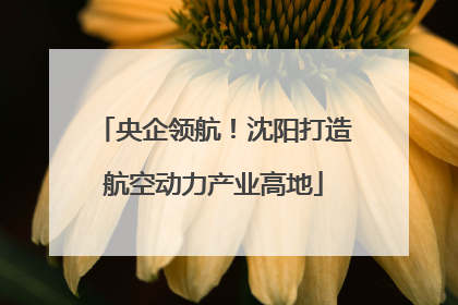 央企领航！沈阳打造航空动力产业高地