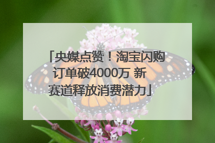 央媒点赞！淘宝闪购订单破4000万 新赛道释放消费潜力