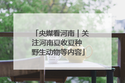 央媒看河南｜关注河南夏收夏种 野生动物等内容