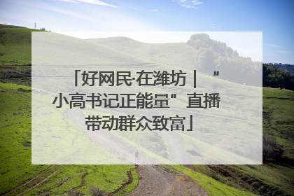 好网民·在潍坊｜“小高书记正能量”直播 带动群众致富