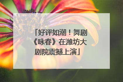 好评如潮！舞剧《咏春》在潍坊大剧院震撼上演