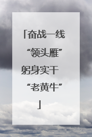 奋战一线“领头雁” 躬身实干“老黄牛”