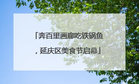 奔百里画廊吃铁锅鱼，延庆区美食节启幕