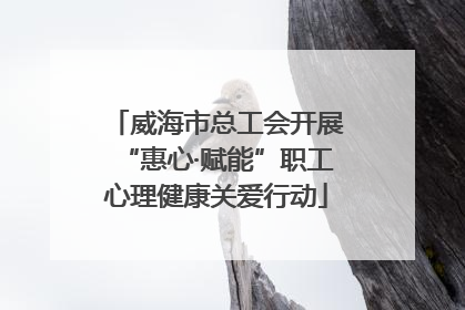 威海市总工会开展“惠心·赋能”职工心理健康关爱行动