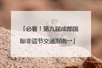 必看！第九届成都国际非遗节交通指南→