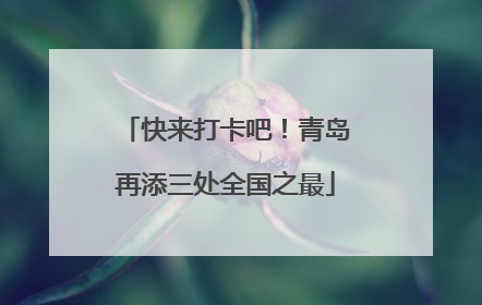 快来打卡吧！青岛再添三处全国之最