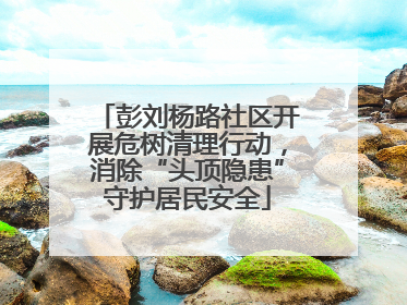 彭刘杨路社区开展危树清理行动，消除“头顶隐患”守护居民安全