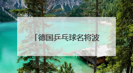 德国乒乓球名将波尔退役：从孔令辉打到王楚钦，同5代国乒选手竞争