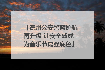 德州公安警蓝护航再升级 让安全感成为音乐节最强底色