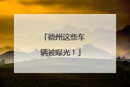 德州这些车辆被曝光！