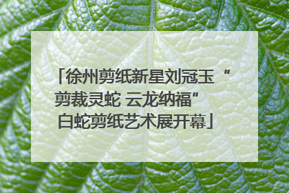 徐州剪纸新星刘冠玉“剪裁灵蛇 云龙纳福” 白蛇剪纸艺术展开幕