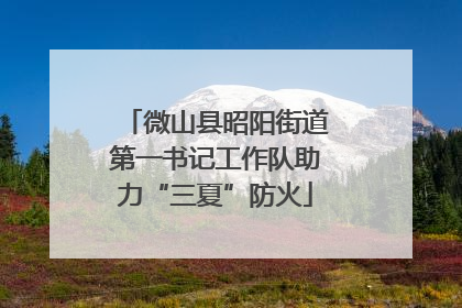 微山县昭阳街道第一书记工作队助力“三夏”防火