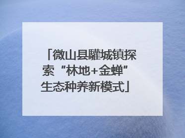 微山县驩城镇探索“林地+金蝉”生态种养新模式