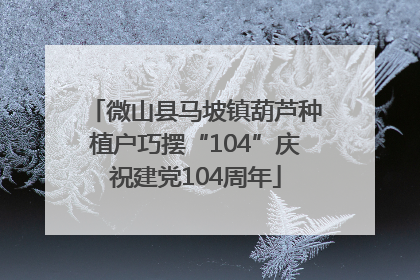 微山县马坡镇葫芦种植户巧摆“104”庆祝建党104周年