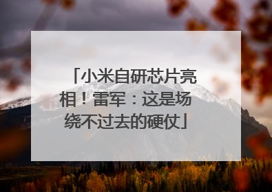 小米自研芯片亮相！雷军：这是场绕不过去的硬仗