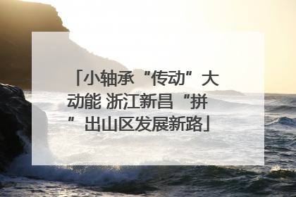 小轴承“传动”大动能 浙江新昌“拼”出山区发展新路