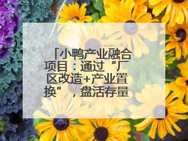小鸭产业融合项目：通过“厂区改造+产业置换”，盘活存量，增值增效