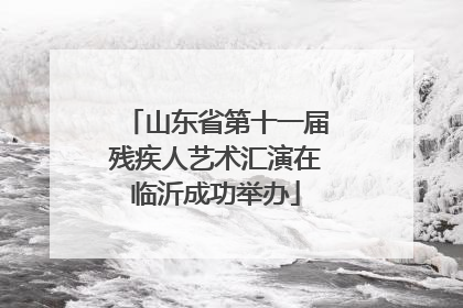山东省第十一届残疾人艺术汇演在临沂成功举办
