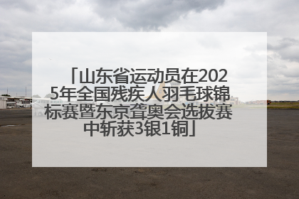 山东省运动员在2025年全国残疾人羽毛球锦标赛暨东京聋奥会选拔赛中斩获3银1铜