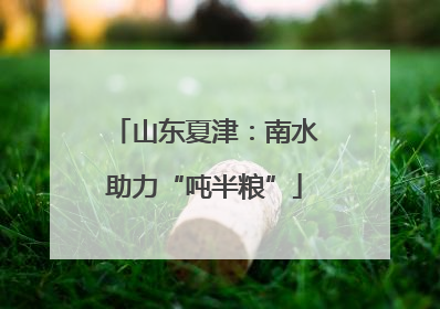 山东夏津：南水助力“吨半粮”