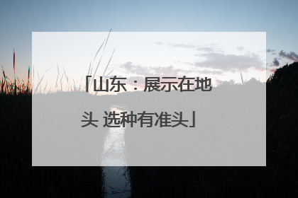 山东：展示在地头 选种有准头
