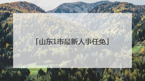 山东1市最新人事任免