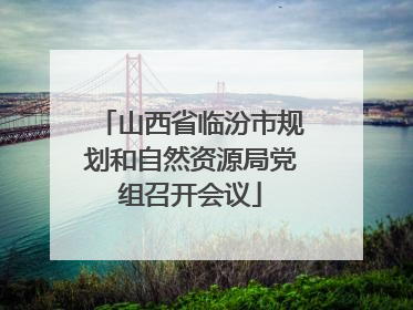 山西省临汾市规划和自然资源局党组召开会议