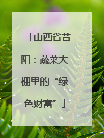 山西省昔阳：蔬菜大棚里的“绿色财富”