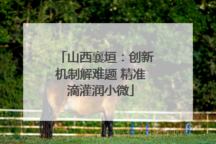 山西襄垣：创新机制解难题 精准滴灌润小微