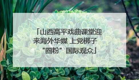 山西高平戏曲课堂迎来海外华媒 上党梆子“圈粉”国际观众
