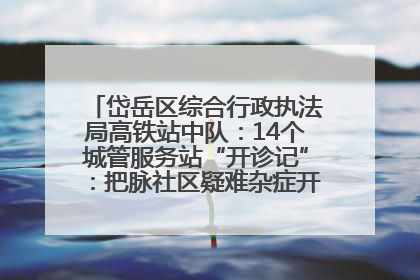 岱岳区综合行政执法局高铁站中队：14个城管服务站“开诊记”：把脉社区疑难杂症开出治理良方