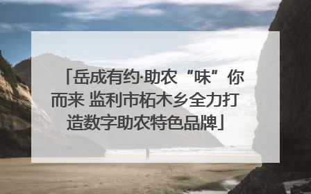 岳成有约·助农“味”你而来 监利市柘木乡全力打造数字助农特色品牌
