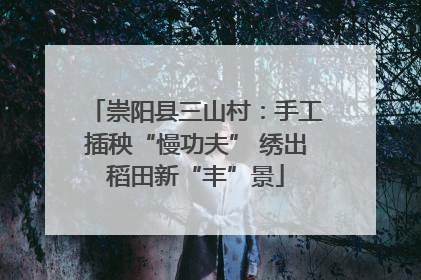 崇阳县三山村：手工插秧“慢功夫” 绣出稻田新“丰”景