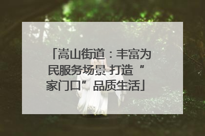 嵩山街道：丰富为民服务场景 打造“家门口”品质生活