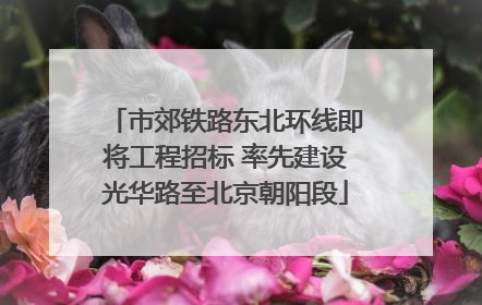 市郊铁路东北环线即将工程招标 率先建设光华路至北京朝阳段