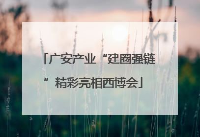 广安产业“建圈强链”精彩亮相西博会