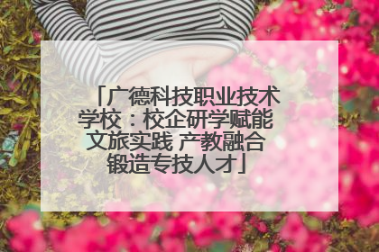 广德科技职业技术学校：校企研学赋能文旅实践 产教融合锻造专技人才