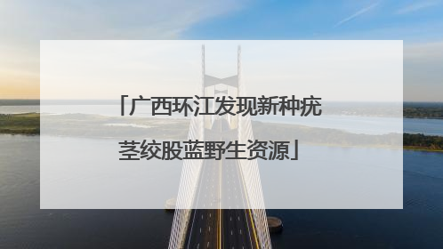 广西环江发现新种疣茎绞股蓝野生资源