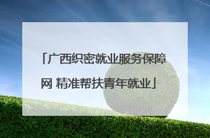 广西织密就业服务保障网 精准帮扶青年就业
