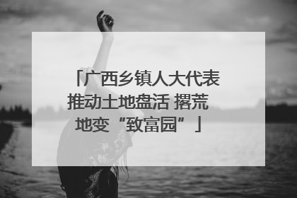 广西乡镇人大代表推动土地盘活 撂荒地变“致富园”