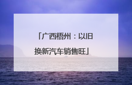 广西梧州：以旧换新汽车销售旺